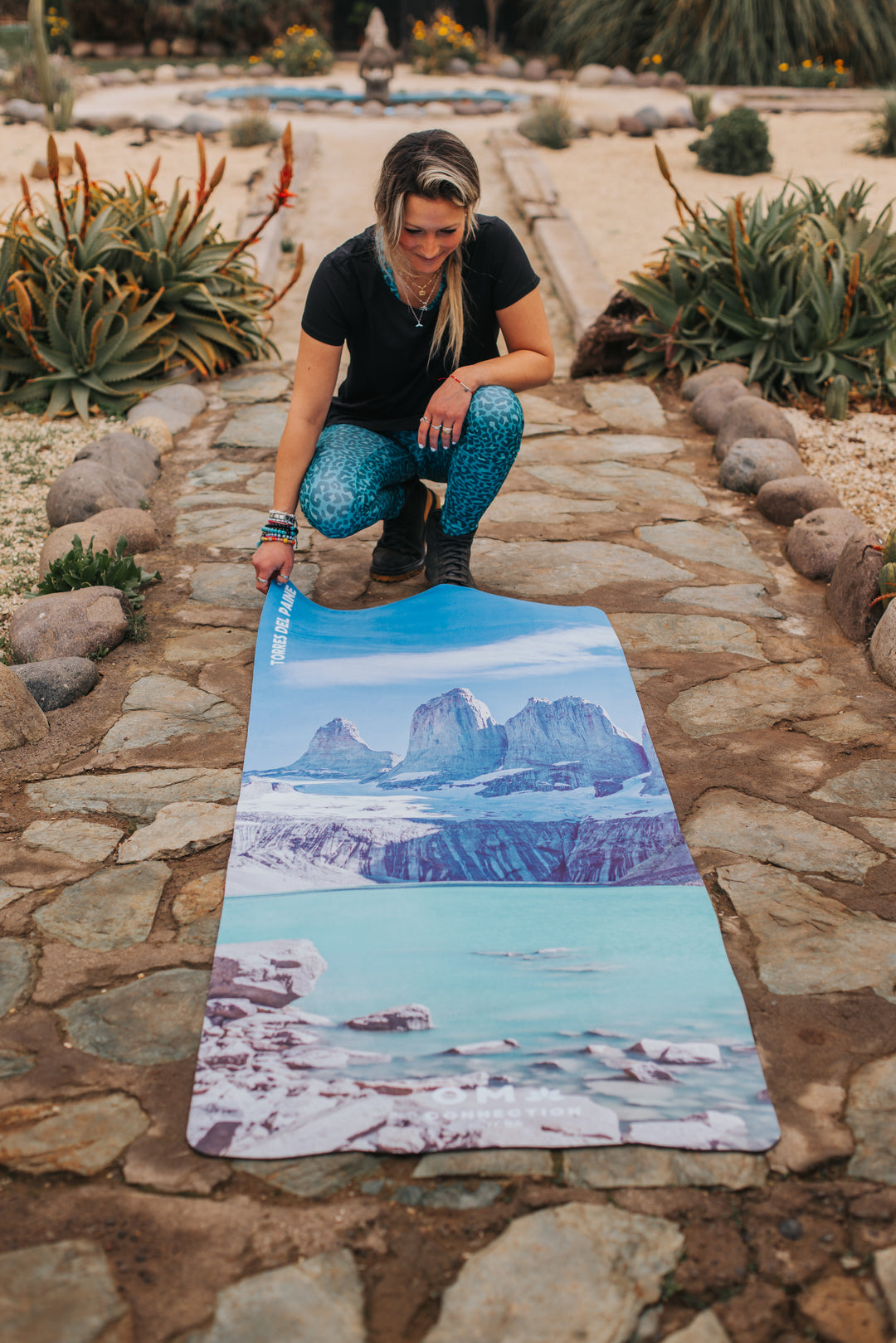 Mat Torres del Paine